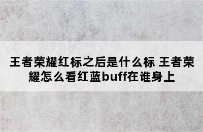 王者荣耀红标之后是什么标 王者荣耀怎么看红蓝buff在谁身上